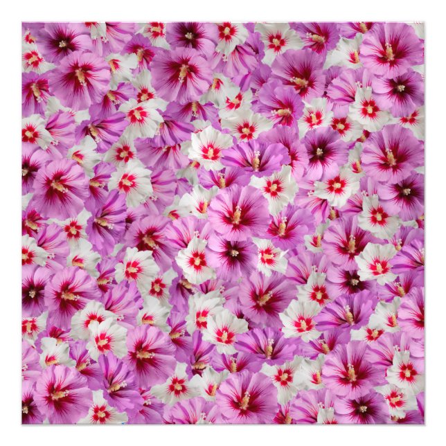 Hibiscus - Chinese Rose Flower Pattern Photo Print (Front)