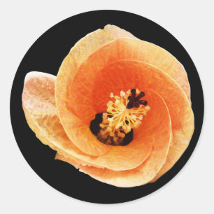 Hibiscus Classic Round Sticker