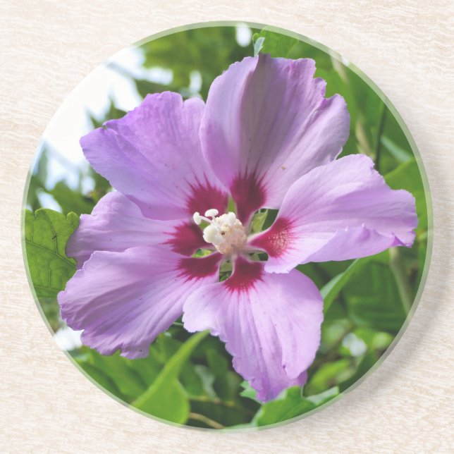 Hibiscus Coaster (Front)