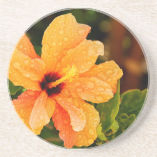 Hibiscus Coaster