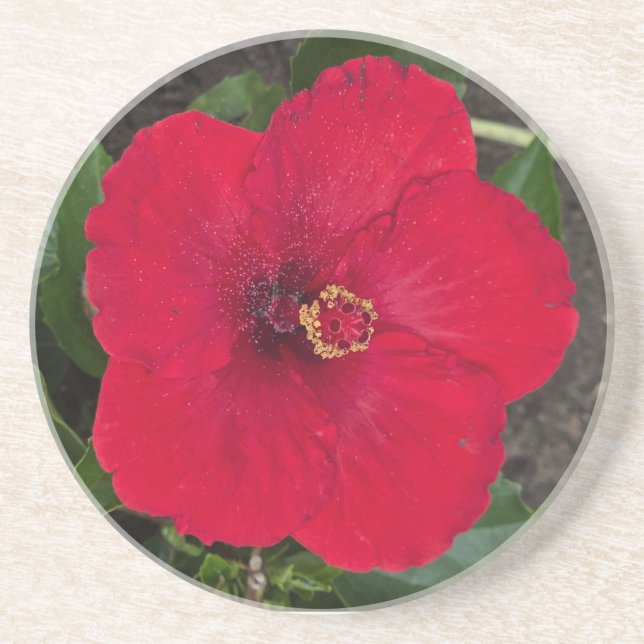 Hibiscus Coaster (Front)