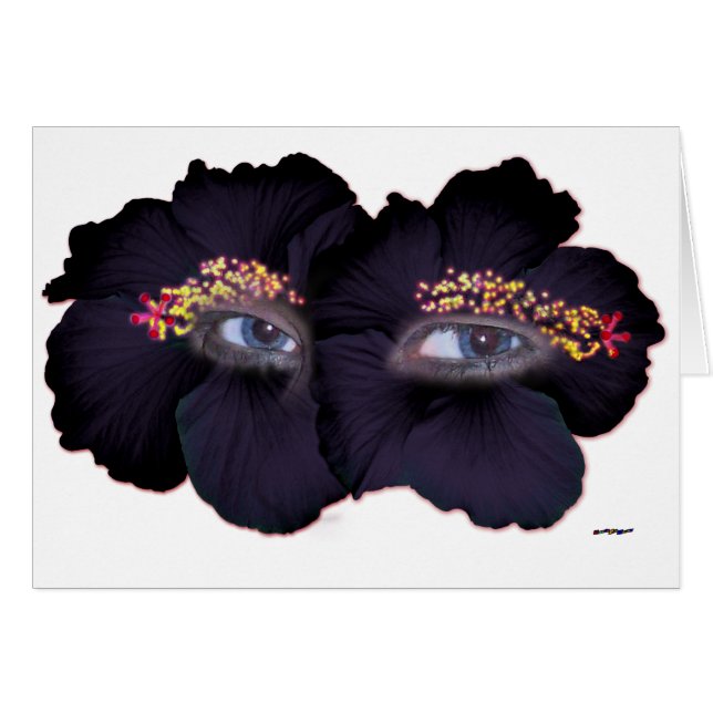 Hibiscus Eyes - Black/Purple (Front Horizontal)
