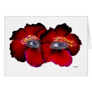 Hibiscus Eyes - Red & Black