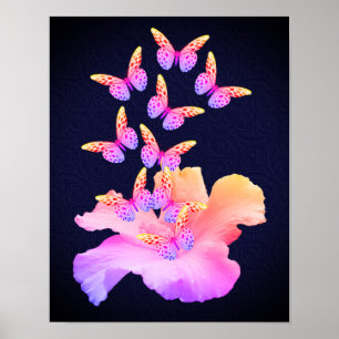 Hibiscus Flower And Colourful Butterflies On Black Poster