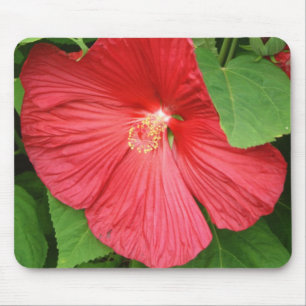 Hibiscus Flower Bright Magenta Floral Mouse Pad