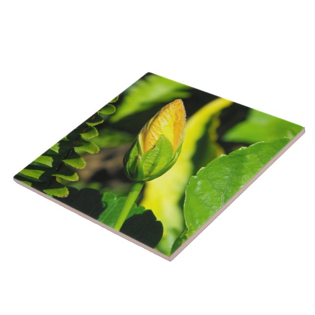 Hibiscus Flower Bud Ceramic Tile (Side)