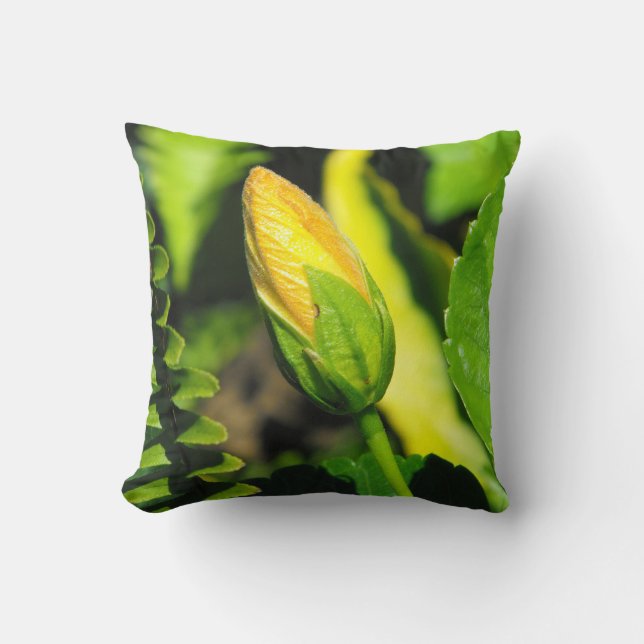 Hibiscus Flower Bud Cushion (Front)