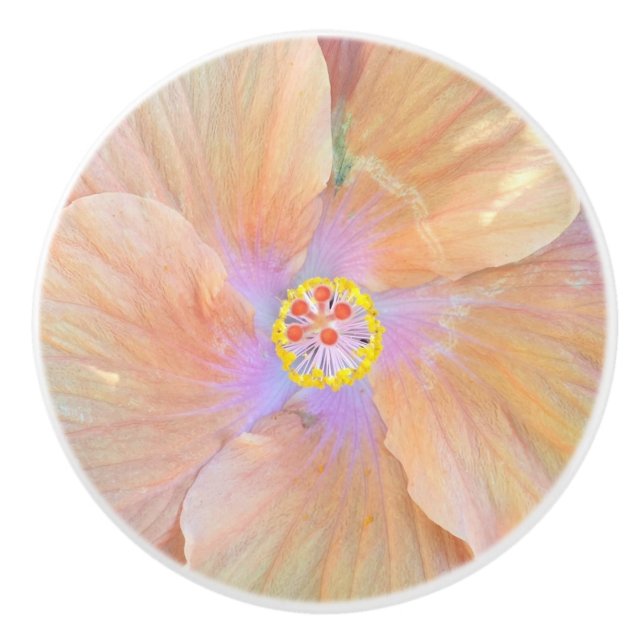 Hibiscus flower ceramic knob (Front)