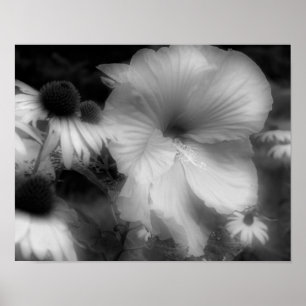 Hibiscus Flower Close Up Black White Photo Print