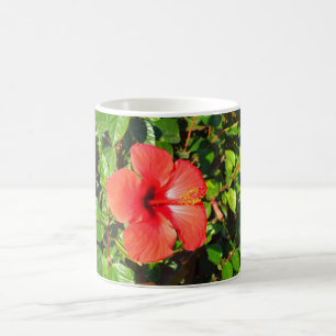 Hibiscus flower coffee mug