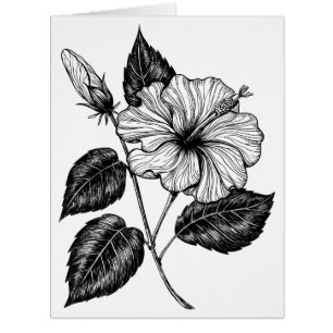 Hibiscus flower II