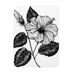 Hibiscus flower II Magnet