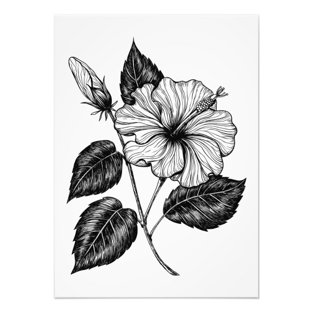 Hibiscus flower II Photo Print (Front)