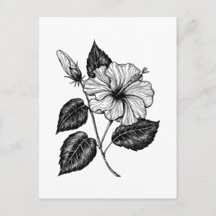 Hibiscus flower II Postcard