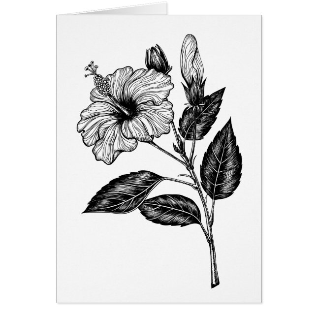 Hibiscus flower III (Front)