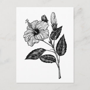 Hibiscus flower III Postcard