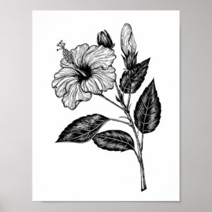 Hibiscus flower III Poster