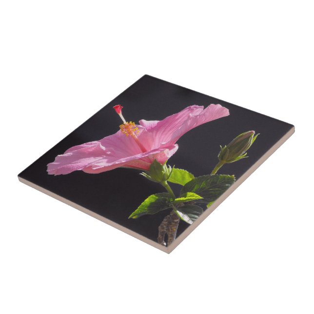 Hibiscus Flower in Profile Ceramic Tile (Side)