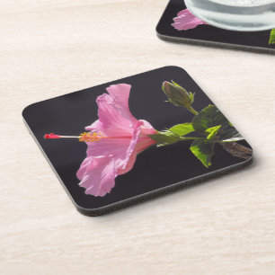Hibiscus Flower in Profile Coaster