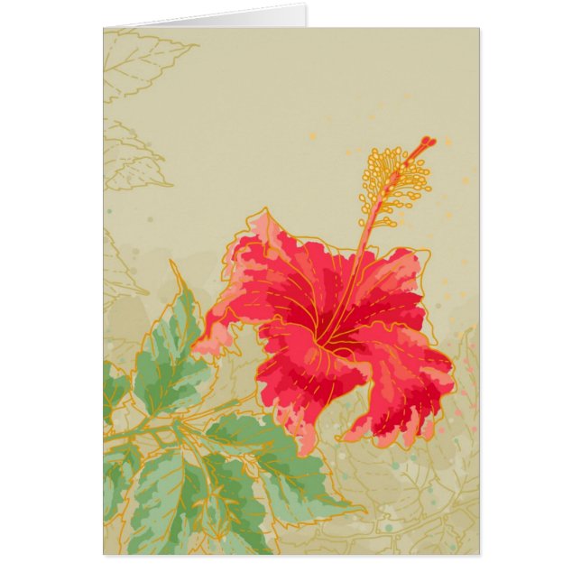 Hibiscus flower on toned background (Front)