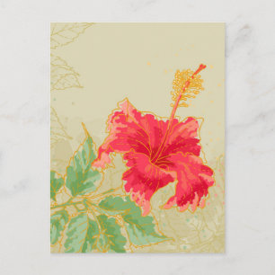 Hibiscus flower on toned background postcard
