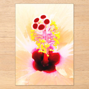 Hibiscus Flower Photograph Acrylic Invitations