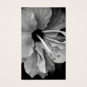 Hibiscus Flower Photography