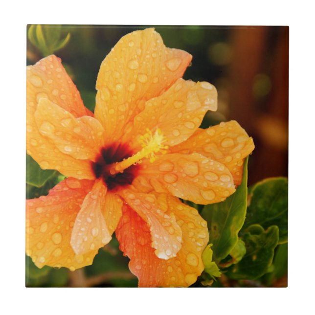Hibiscus Flower Photography Tile (Front)