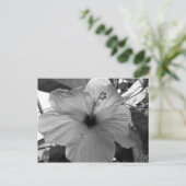 Hibiscus Flower Postcard (Standing Front)