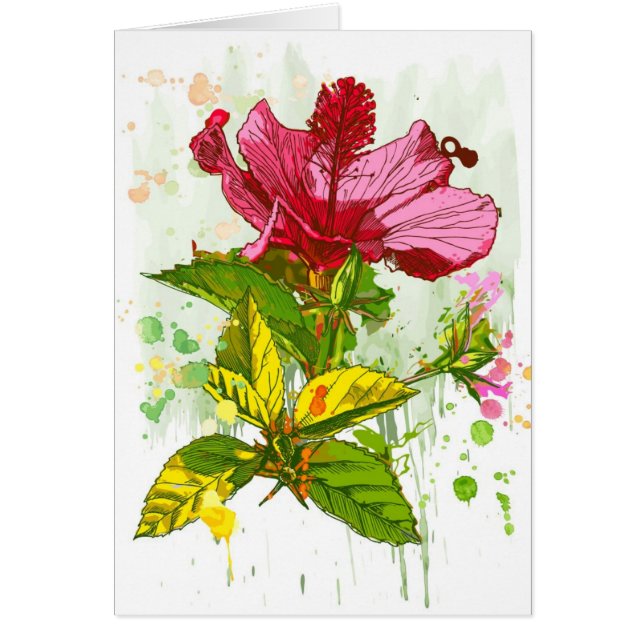 Hibiscus flower - watercolor paint (Front)