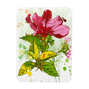 Hibiscus flower - watercolor paint magnet
