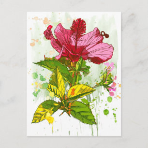 Hibiscus flower - watercolor paint postcard