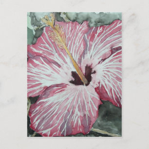 hibiscus flower watercolor painting art gift postcard