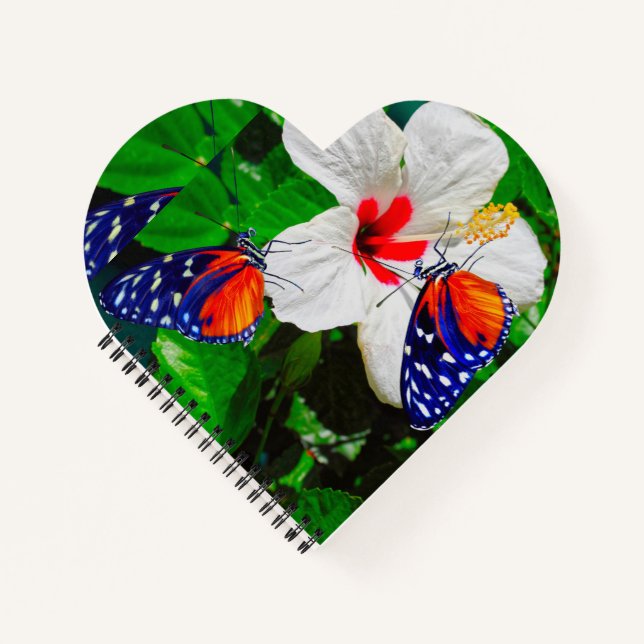 Hibiscus flower with 2 Tiger Longwing butterflies Notebook (Front)