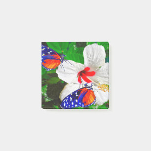 Hibiscus flower with Tiger Longwing Post-It Notes