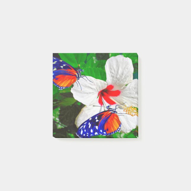 Hibiscus flower with Tiger Longwing Post-It Notes (Front)