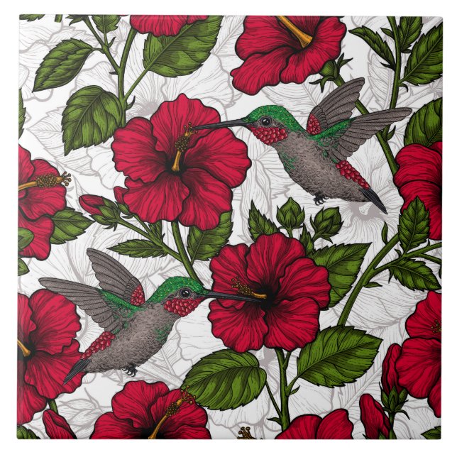 Hibiscus flowers and hummingbirds ceramic tile (Front)