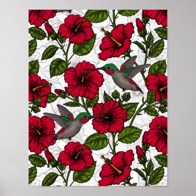 Hibiscus flowers and hummingbirds poster (Front)