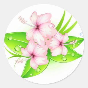 hibiscus flowers classic round sticker