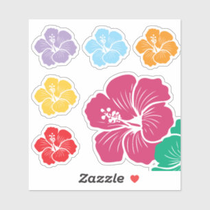 Hibiscus Flowers Variety