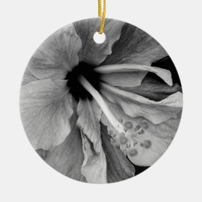 Hibiscus Flyer Ceramic Ornament (Front)