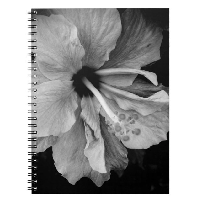 Hibiscus Flyer Notebook (Front)