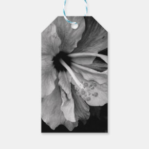 Hibiscus gift tags