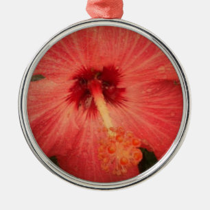 Hibiscus Grunge Zoomed into Centre of Flower Metal Ornament