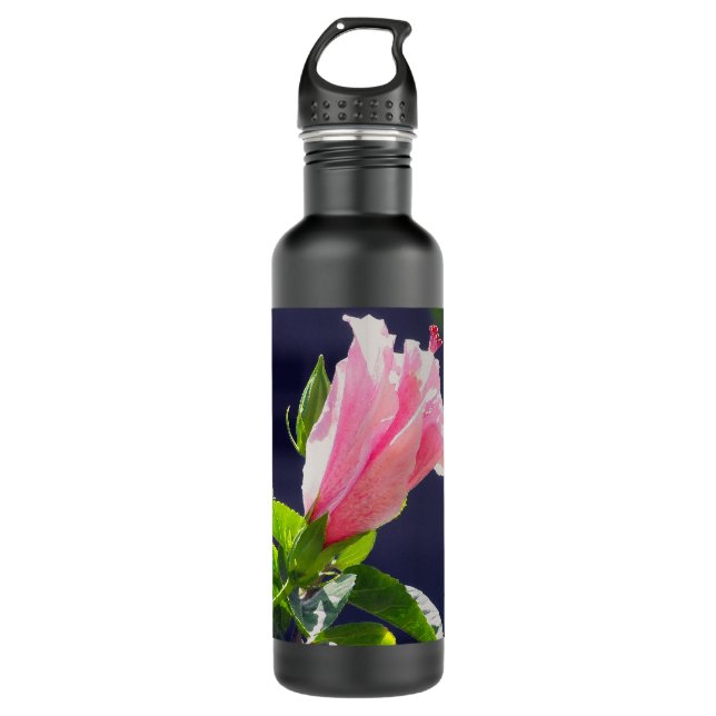 Hibiscus in Bright Sunlight 710 Ml Water Bottle (Front)