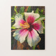 Hibiscus in Oahu, Hawaii