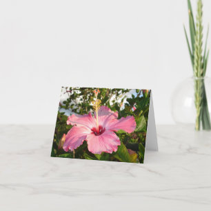 Hibiscus - L Card