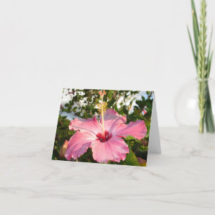 Hibiscus - L Card