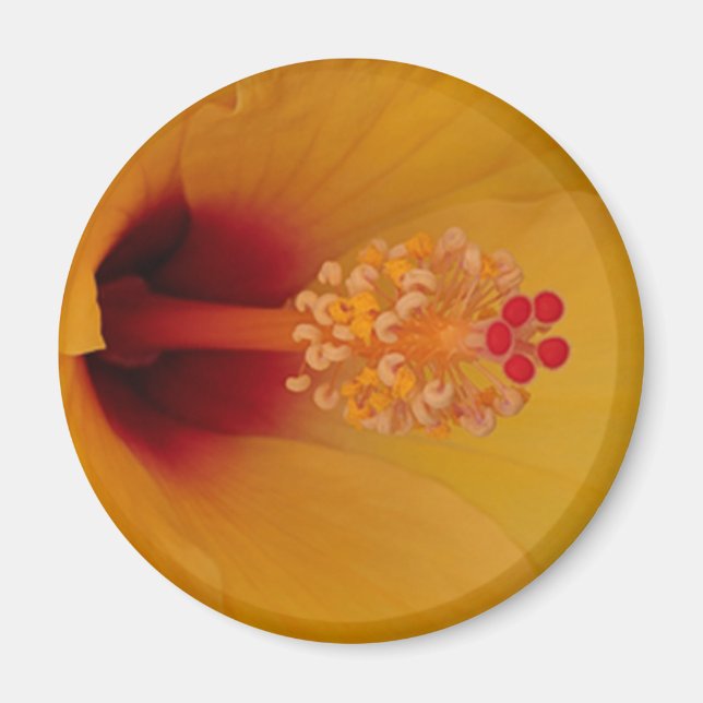 Hibiscus Magnet (Front)