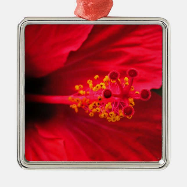 Hibiscus Metal Ornament (Front)